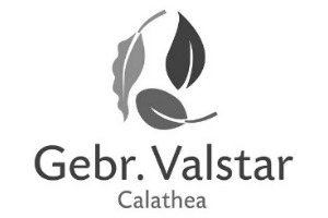 Gebr. Valstar
