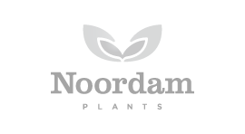 Noordam