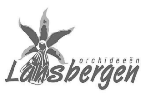 Lansbergen Orchideeën