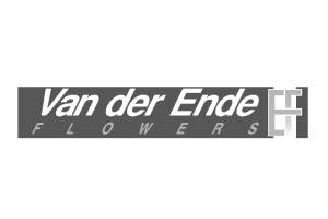 Van der Ende Flowers