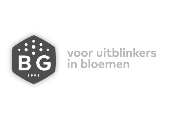 B&G De Mooij