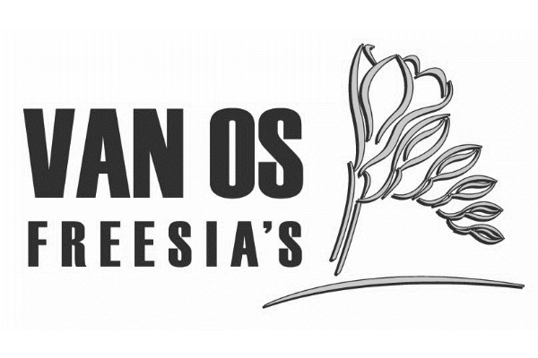 Van Os Freesia´s