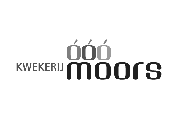 Kwekerij Moors