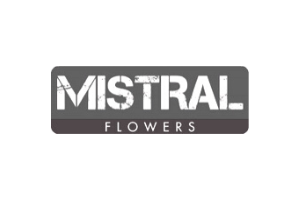 Mistral Flowers